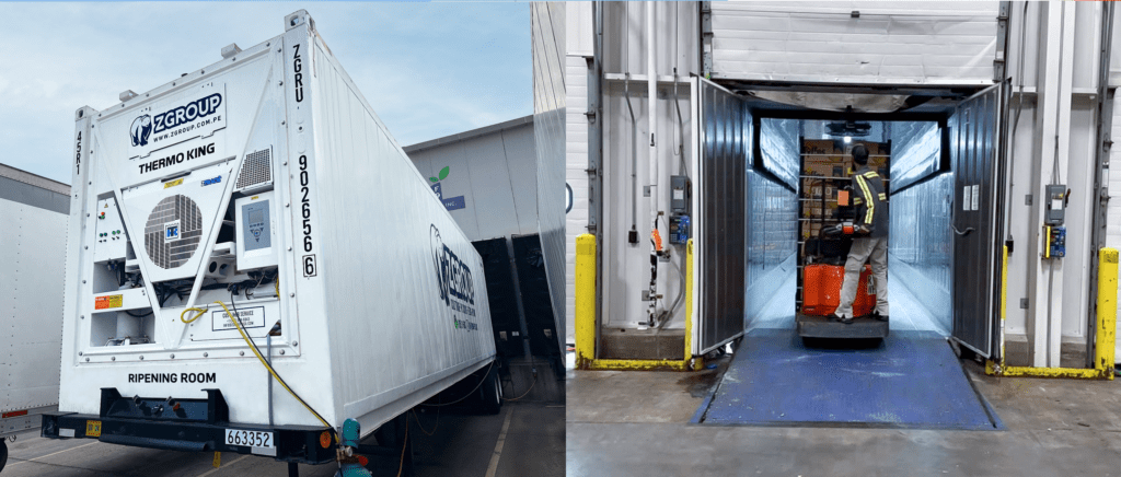 ripening-room-for-your-business